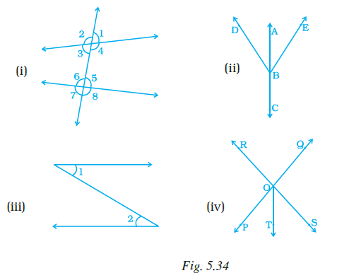 Page 139 Chapter 5 Class 7th NCERT Exemplar
